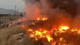 Огнен ад бушува на 2 места в Югозапада, властите алармират да не... Снимки