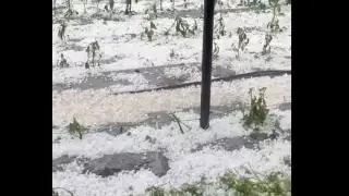 Градушка колко орех помля Гърмен, счупи покрива на общината Видео