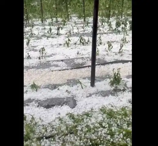 Градушка колко орех помля Гърмен, счупи покрива на общината Видео