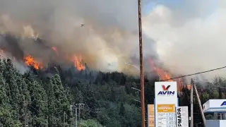 Огромен пожар в Гърция до любимо на българите място