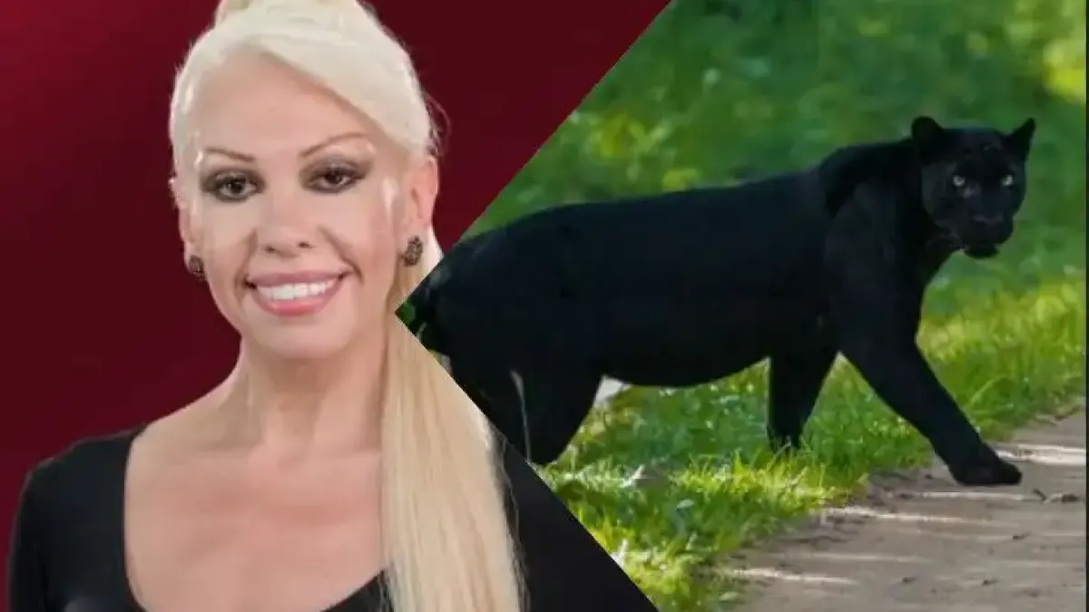 Луна взриви мрежата: Видях я! Пумата! Не е звяр, а...