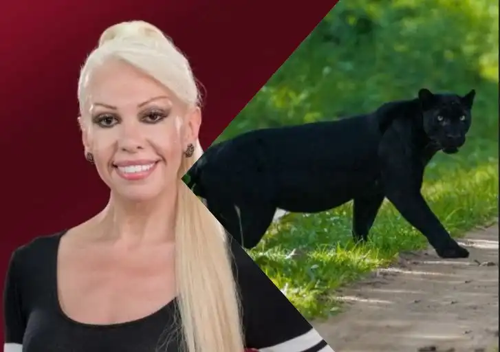 Луна взриви мрежата: Видях я! Пумата! Не е звяр, а...