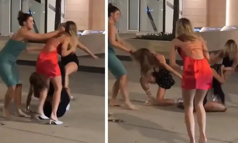 Брутален женски бой втрещи мрежата Видео 18+