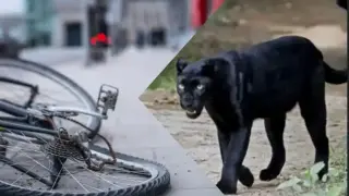 Мъж загина в Шуменско на фона на драмата с черния леопард, ето как