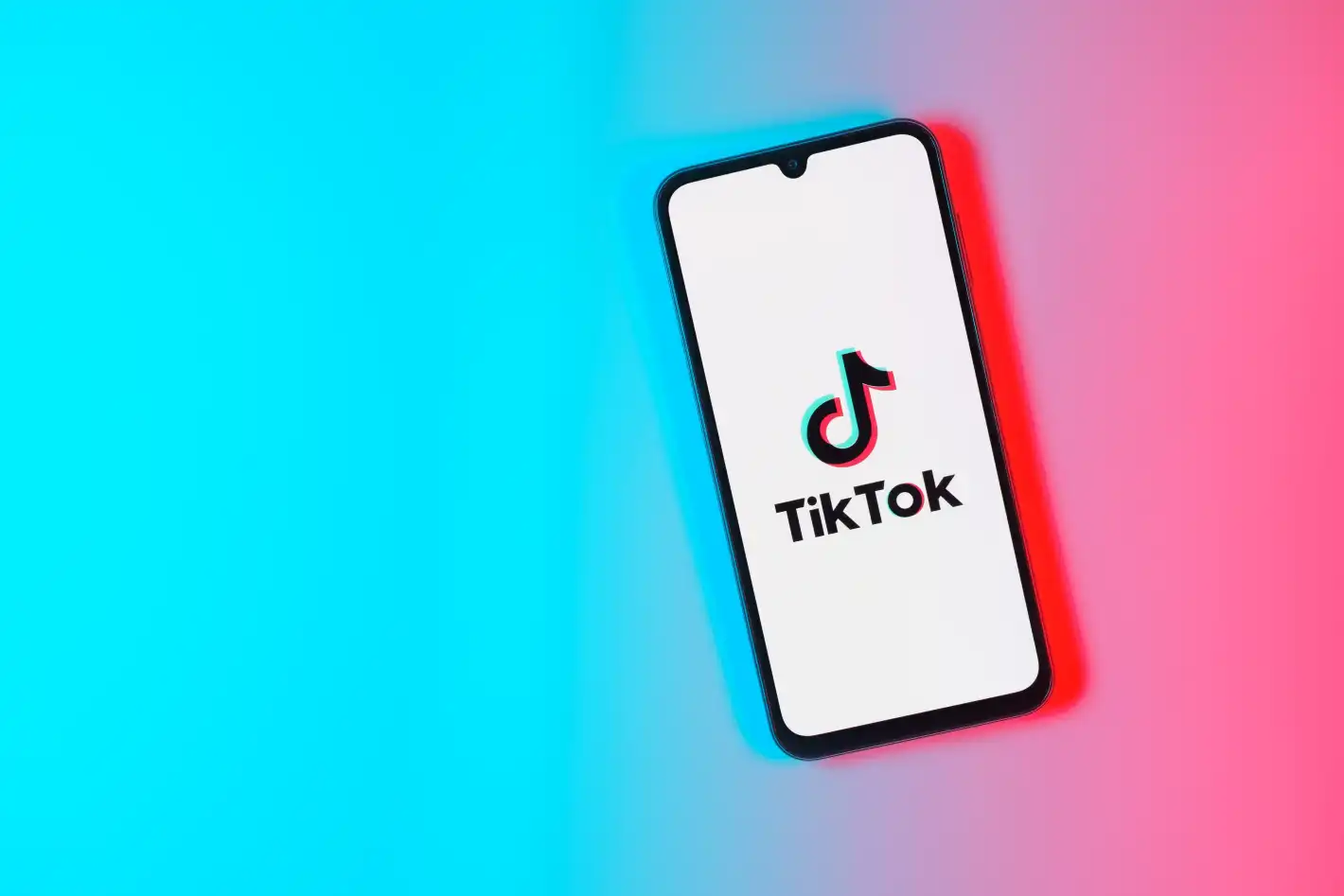 TikTok с удар по цели български семейства, лишава ги от прехрана като забранява...