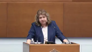 Доц. Киселова: Въпроси извън компетентността на НС не могат да се подлагат на референдум. Спрете да лъжете хората!