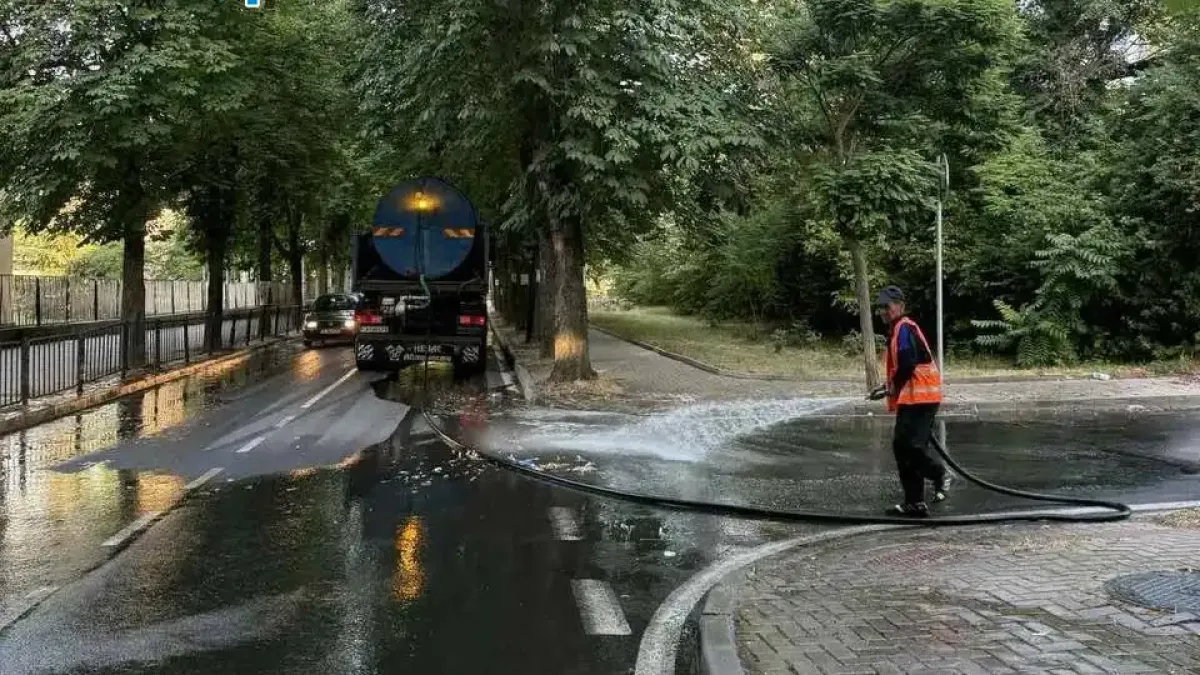 Такова чудо Кърджали не помни от времето на Тато
