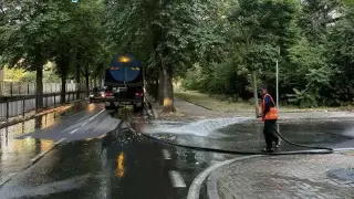 Такова чудо Кърджали не помни от времето на Тато