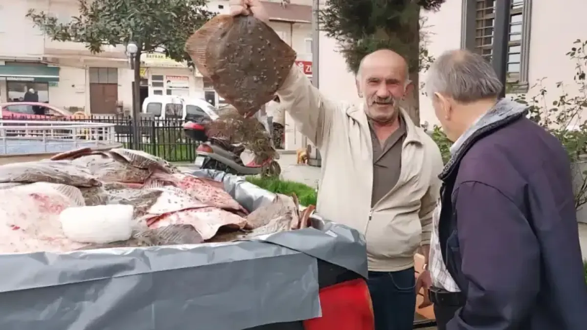 Незаконен улов: Раздадоха безплатно риба за над 67 хиляди лева в Турция