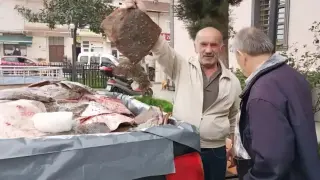 Незаконен улов: Раздадоха безплатно риба за над 67 хиляди лева в Турция