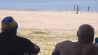 Мор край Дунава, живакът удари....