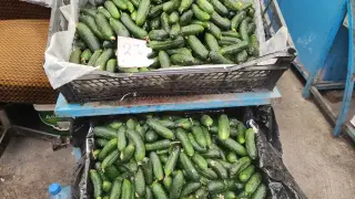 Когато корнишонът беше левче…