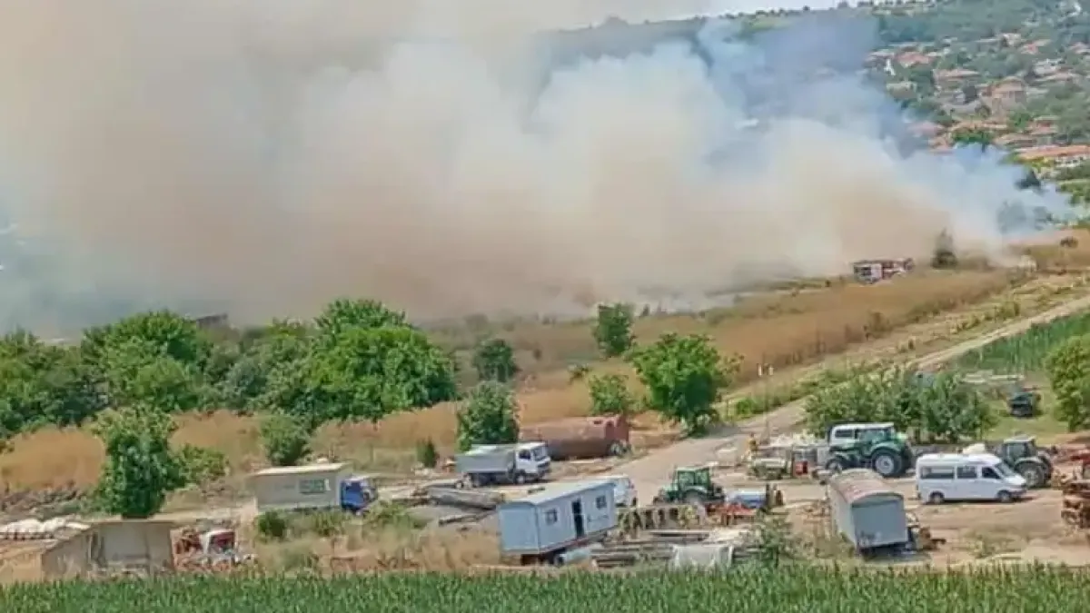 Голям пожар пламна край Силистра, огънят се разширява