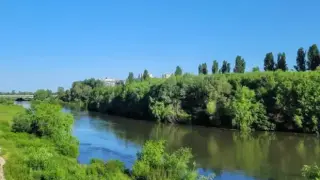 Рибар от Пловдив беснее: Вие наричате това "добро дело", но аз не съм съгласен
