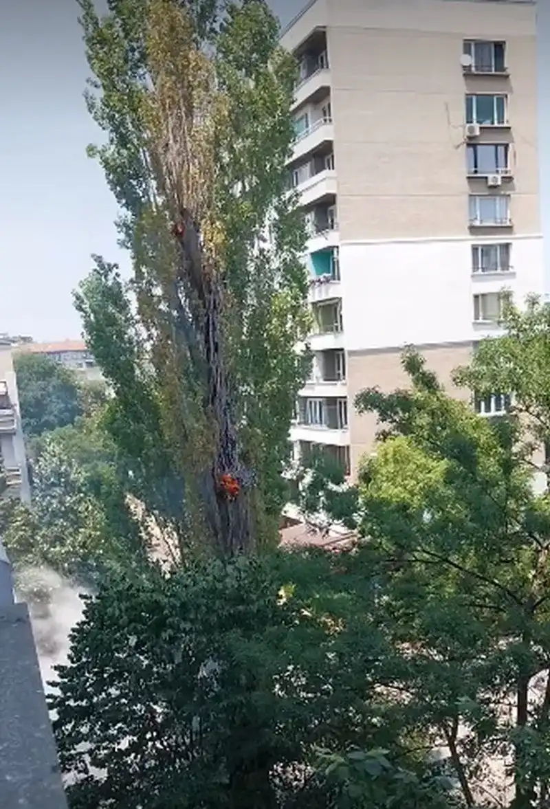 Софиянци гледат и се маят: Как е възможно подобно нещо Видео
