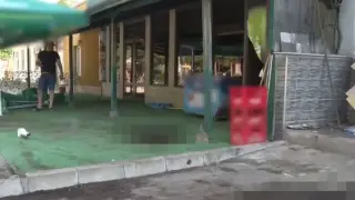 Прокуратурата с основна версия за трагедията с 3 трупа в Разград, 19 г. шофьор...