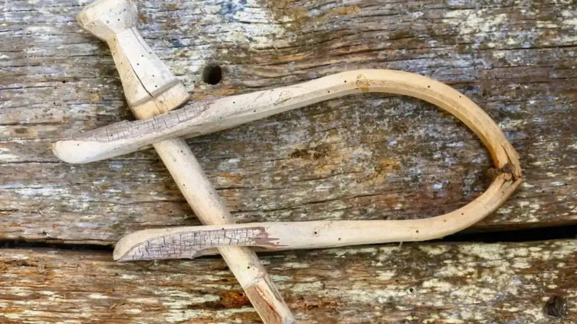 Археолози откриха нещо, което напълно променя представите ни за праисторията