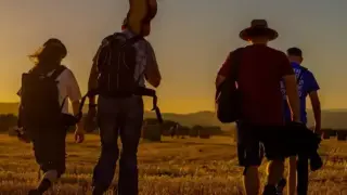 Музиката плаща: 1000 лева бакшиш за 5 часа свирене по сватби