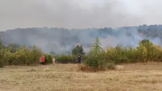 Голям пожар избухна край Дупница Снимки