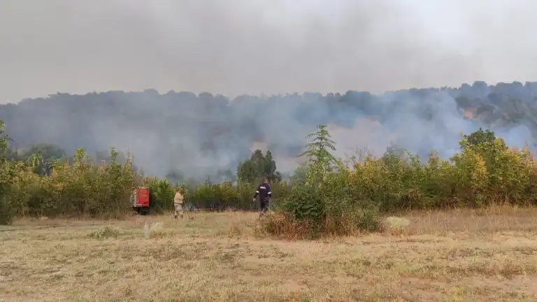 Голям пожар избухна край Дупница Снимки