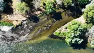 Скандално Видео: Защо канализацията на Пловдив изтика в Марица, пита Батков-младши