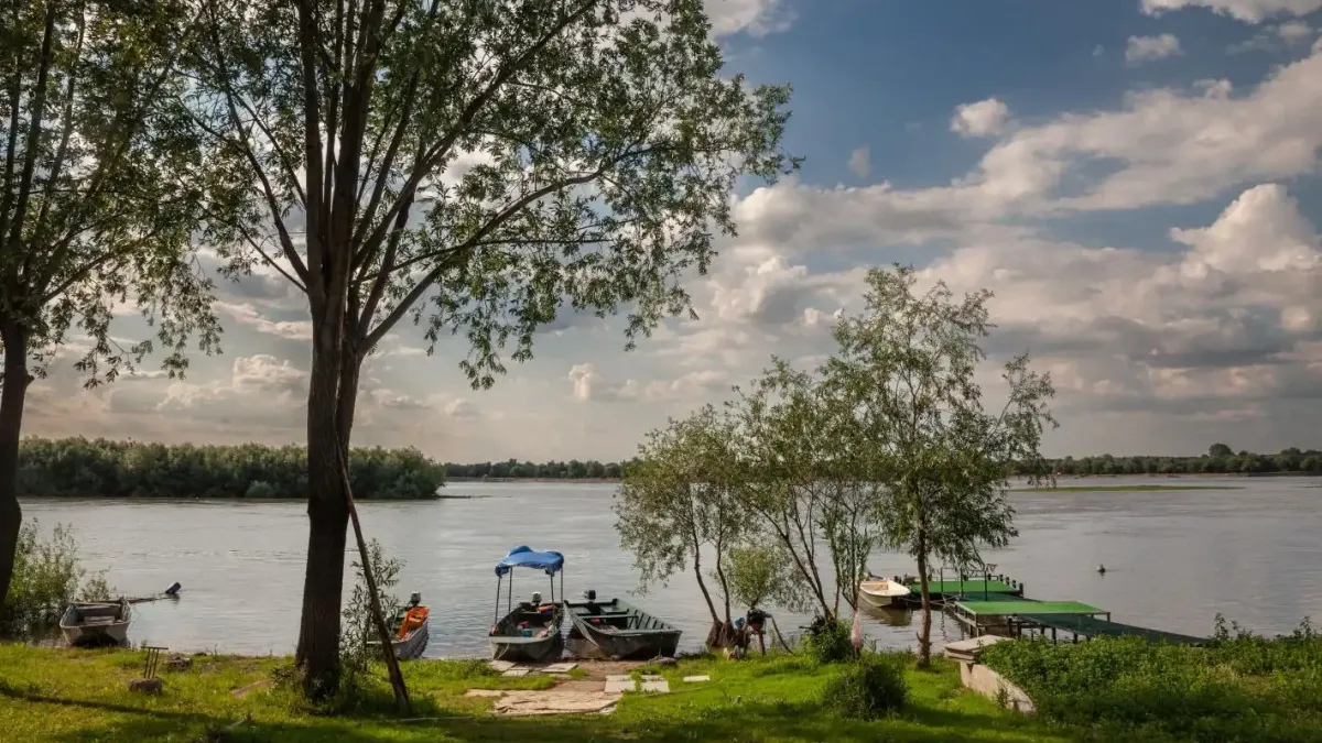 Природно бижу - Дунавското сафари