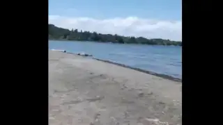 Разбулиха мистерията с трупа, изплувал на популярен наш плаж