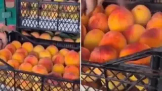 Показаха на Видео трик за бързо "узряване" на плодовете