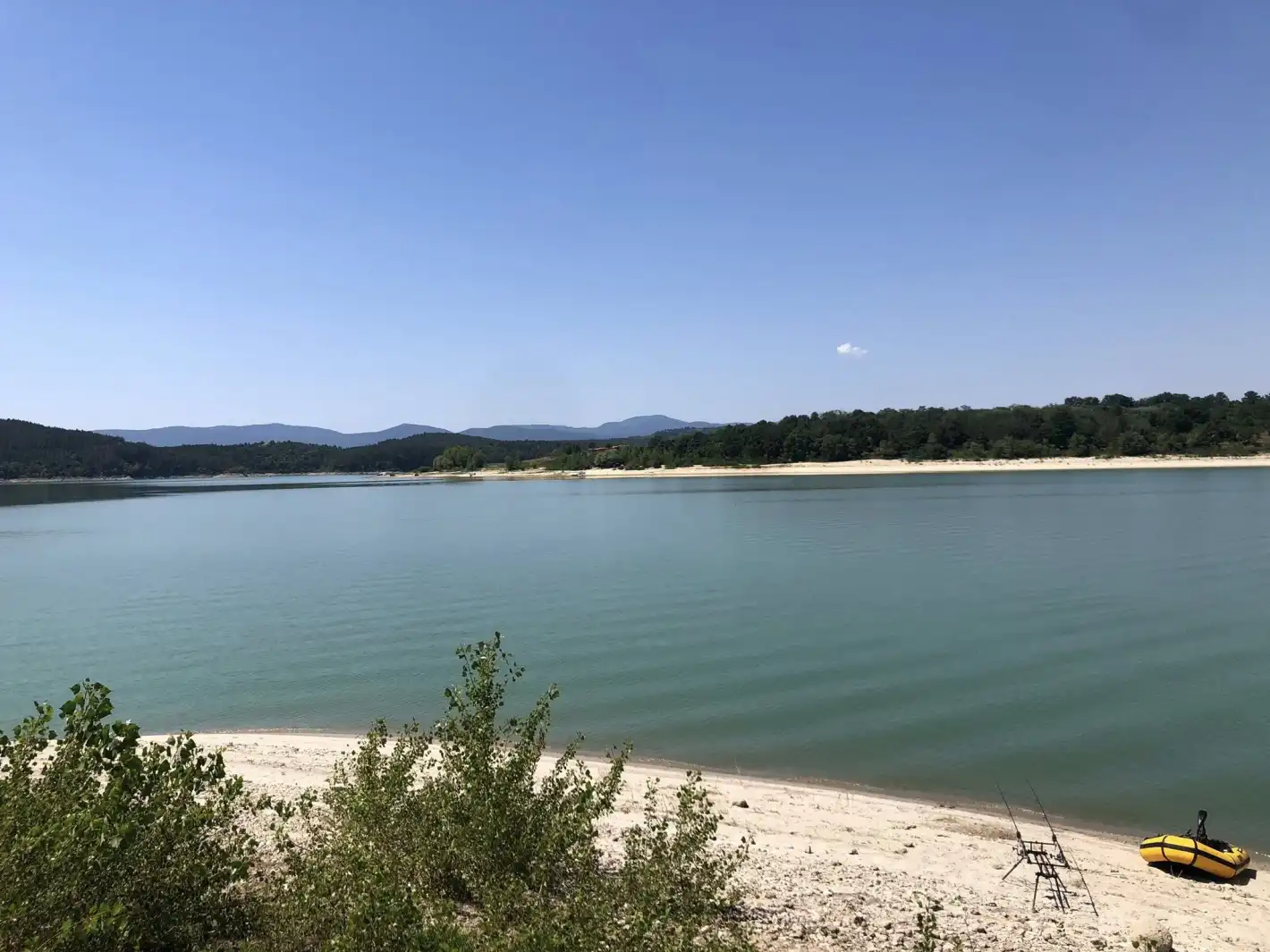 Столичанин 10 минути се бори и удари 22-килограмов воден звяр с примамка от пиявици Видео