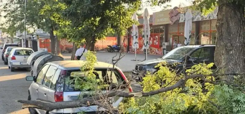 Опасен инцидент в Пловдив, местните са бесни