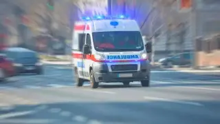 След нашия черен леопард: Паника в Сърбия, избяга екзотично животно, рани трима, включително дете Видео