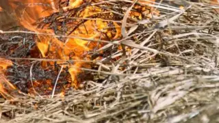 Обхождат всички фронтове на пожара край Сандански