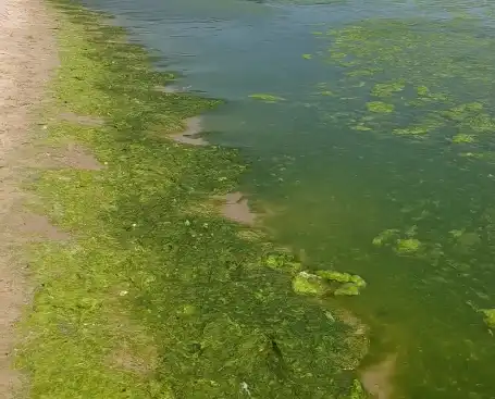 Плажовете във Варна заприличаха на блато, а водата на супа Снимки
