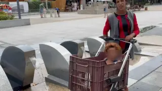 Жена шокира всички бургазлии, вози детето си в касетка, а после... Видео