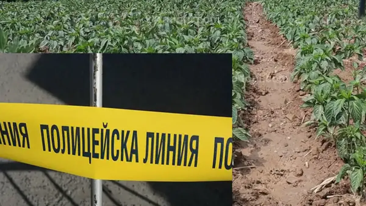 Свирепо убийство разтърси Родопите!