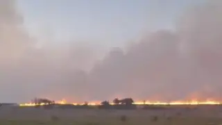 Няма край! Пожарът до Костинброд се разгоря отново, заплашва детски онкоцентър