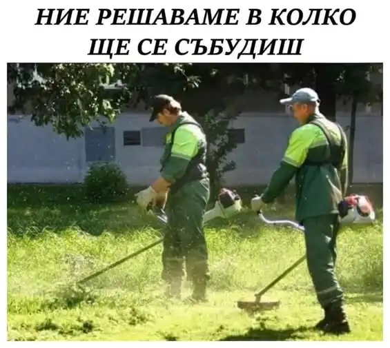 Еврика: В Сливен косят тревата по най-екологичния начин - няма шум, няма газове