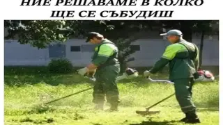 Еврика: В Сливен косят тревата по най-екологичния начин - няма шум, няма газове