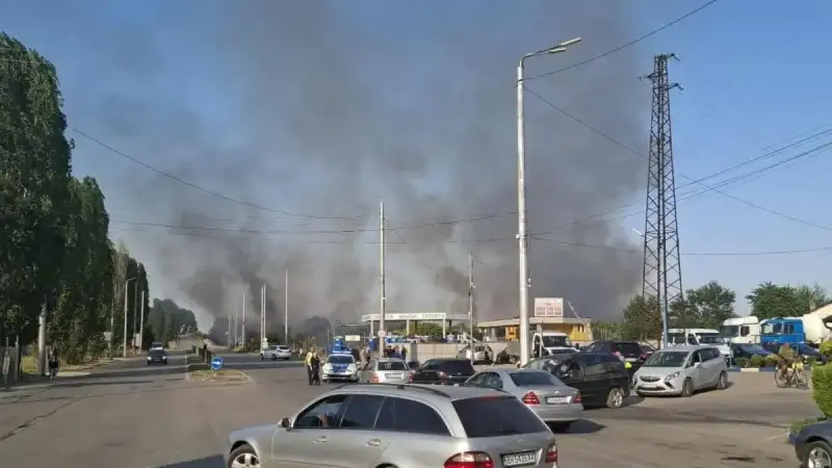 Огнена стихия край бензиностанции във Видин! Затворен е пътят към Дунав мост 2 Снимки