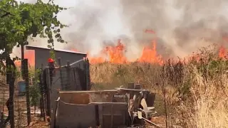Червен код за пожари в 8 области на България: Висока опасност от неконтролируеми огнища