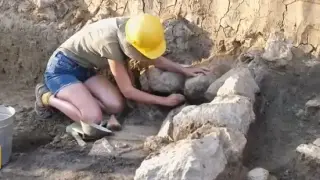 Ново смайващо откритие в Хераклея Синтика в гроб с кремация