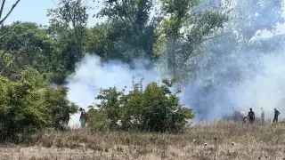 Туристи зарязаха сянката и плажа, грабнаха пясък и тръгнаха да спасяват... Снимки
