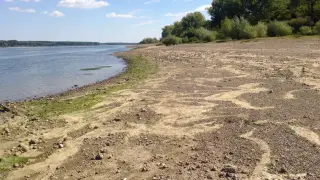 Тревога! Не, това не е селска бара, а река Дунав Снимки