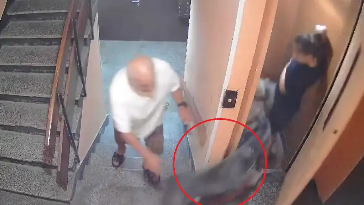„Само чудо спаси детето ми“: Шокиращо видео 18+ с куче в асансьор в "Люлин" в София