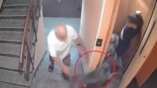 „Само чудо спаси детето ми“: Шокиращо видео 18+ с куче в асансьор в "Люлин" в София