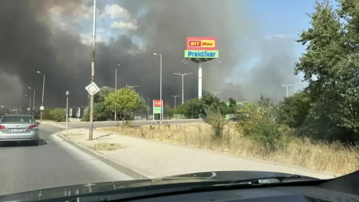 Пожарът в София взима страшни размери, Видео запечата ужаса