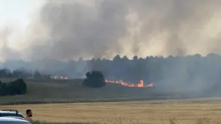 Огненият ад в София не спира: Спряха движението на градския транспорт, а към Банкя...