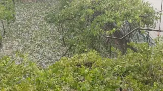 Ето какво остана след градушката, помела Северозапада Снимки