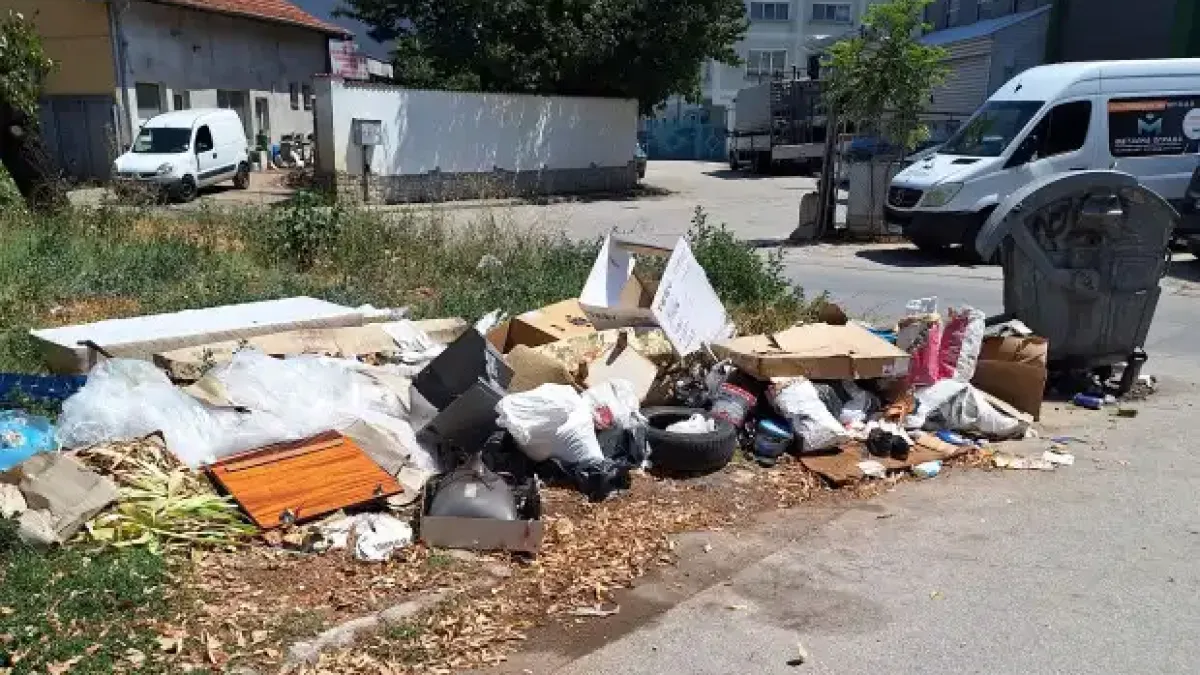 В Пловдив се отчаяха: Всички сме безсилни пред простотията