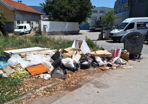 В Пловдив се отчаяха: Всички сме безсилни пред простотията